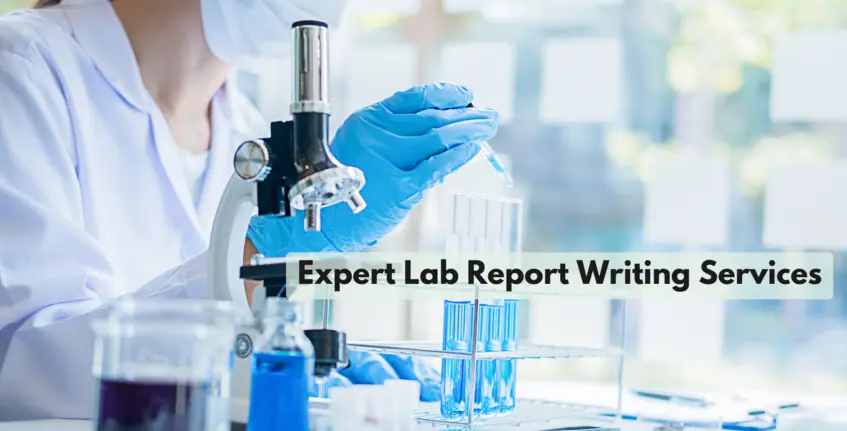 Write My Lab Report for Me — Structure, Analysis, Results